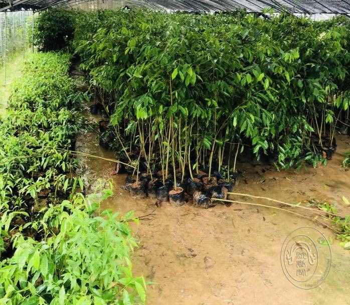 clip_image024.jpg IMG_9362.JPG